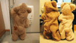 Teddy Bear Baby Jumpsuit